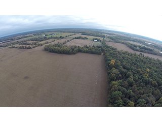 Property photo 1 - Southern Michigan Land Auction - 2 Auctions in 1 - 229+/- Acres and 66+/- Acres